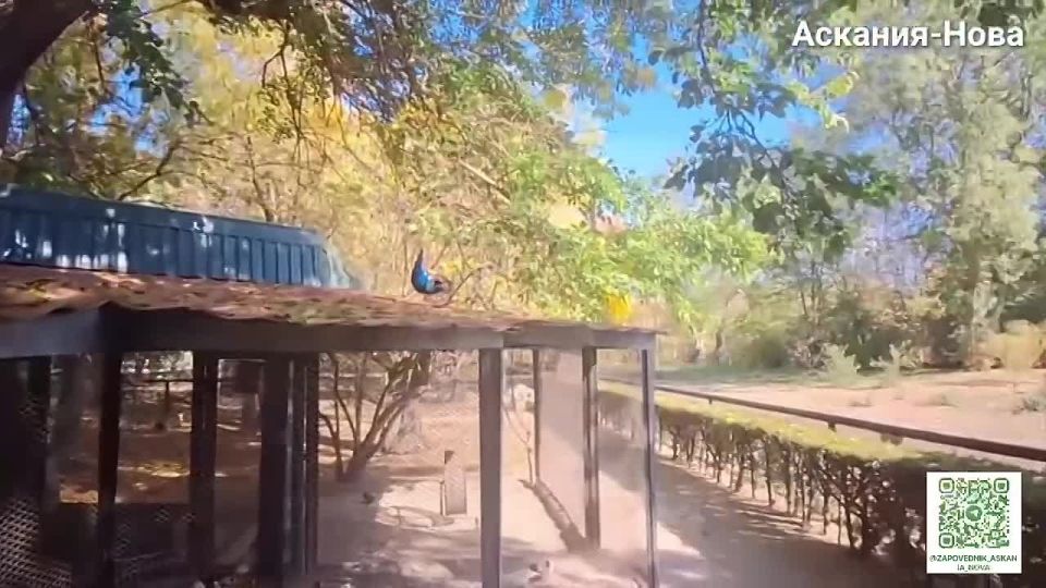 � "�������-����" � ������� ������ ������������� ����� ���������� ������