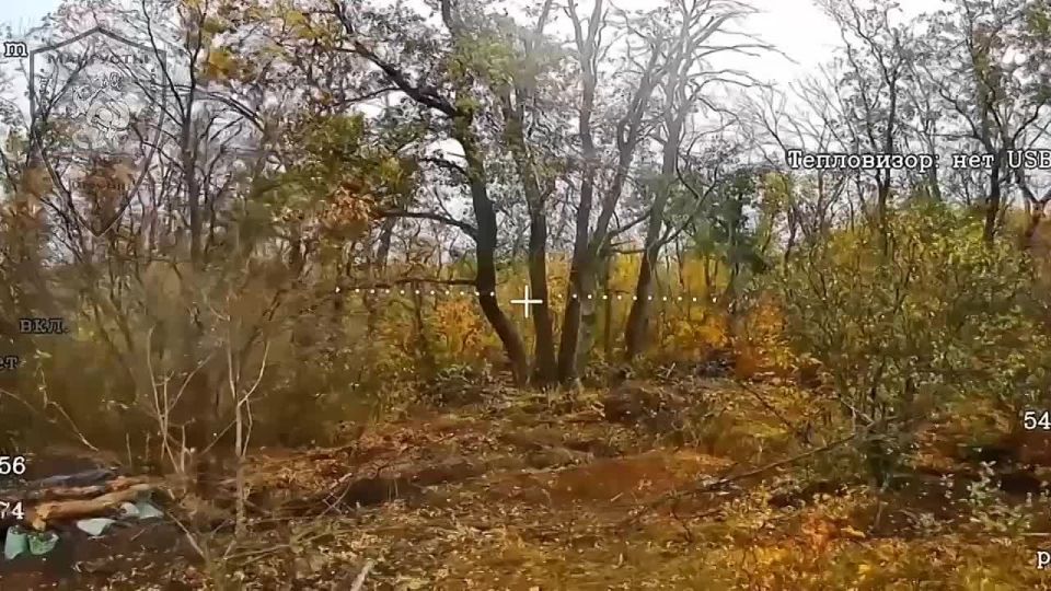 ���������� ���� ����������� ��������� �� ������� ������� ��� ��������