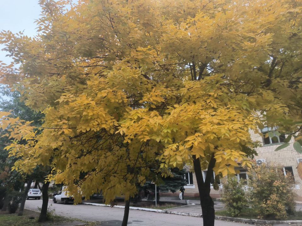 ������ ����, ��������� �����!