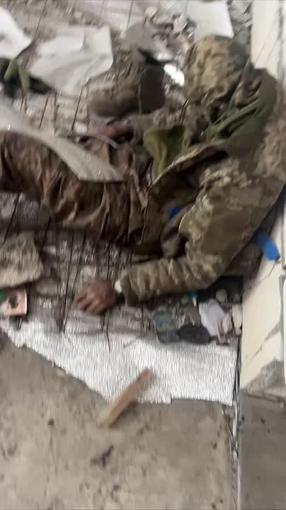 �� ����� ������� ���� ��������