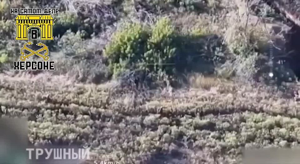 ������ �����. �� ������ ��������� ���������� �������� ���