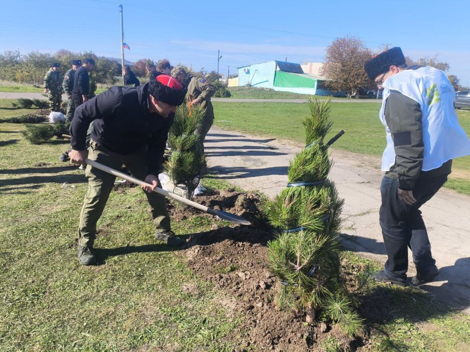САД ПАМЯТИ. Сегодня в селе Круглозёрка (Голопристанский район) прошла международная акция "Сад памяти"