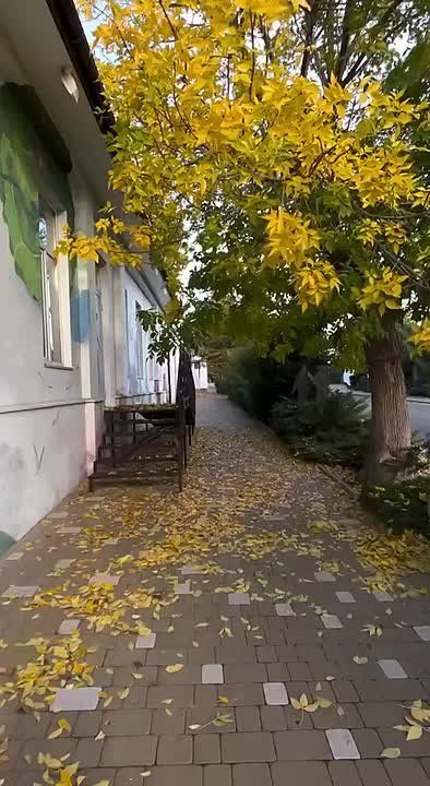 ����� �������� �������. ��������� �� ������.��