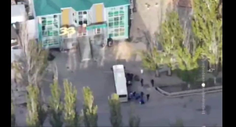 Енот из Херсона: Кадры с микрорайона Корабелов (Херсон)