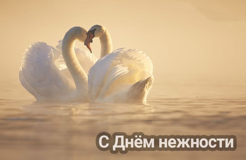 ������� 17 ������� � ���������� 15 ����������