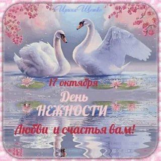 Представь мир, наполненный теплом, лаской и заботой