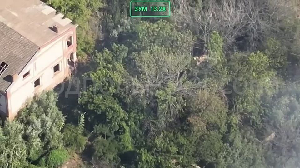 ������ �����������. ������