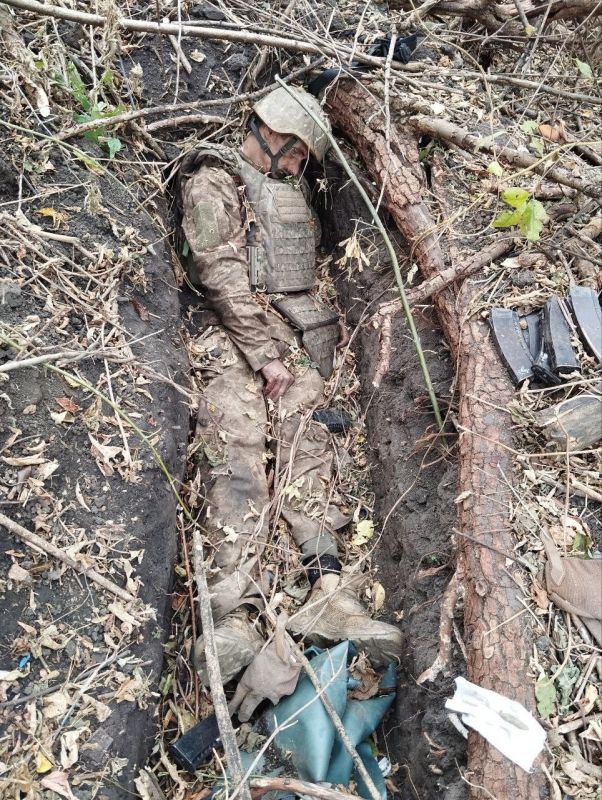 ���� ������� �������.. ��������-����� ���������� �������