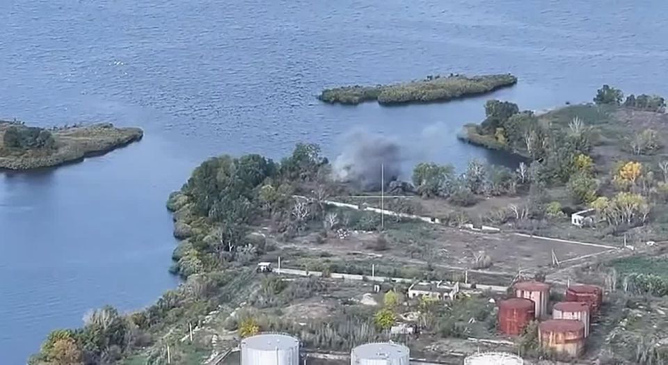  :      -       ( )  .     ...