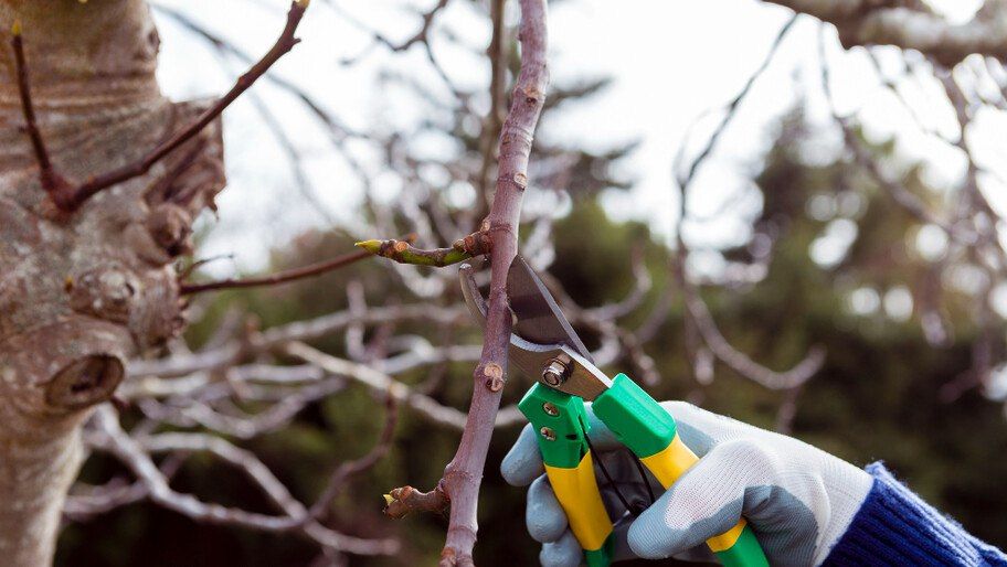 ���� � �����, ������ � ���