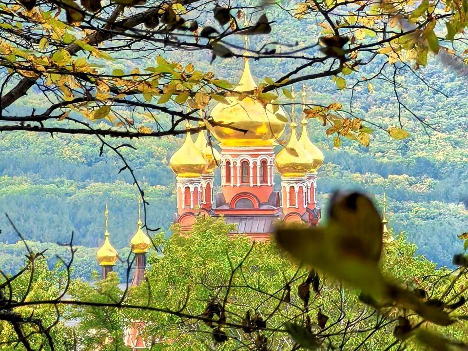 ������ ���� ������������� ��������� ��������: �������� ���������� � ����� �����������