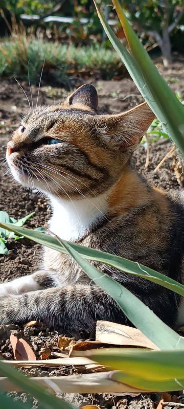 ������ ����, ������� ������!