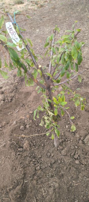 ������� ������ � �������: ����� �� ���������� � ���� ������� �� ��� ����