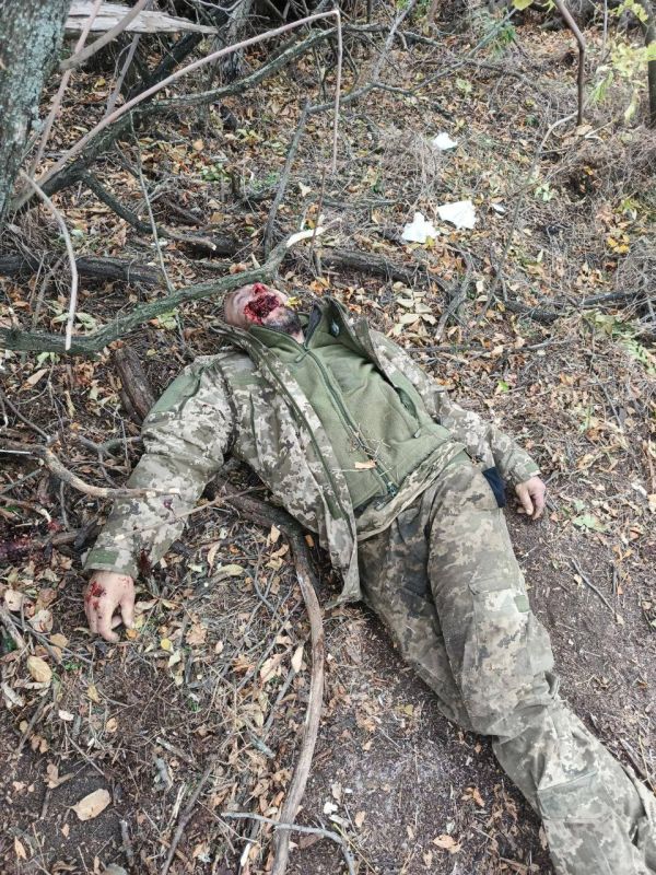 ���� �� ���������� ��������� �� ���������������� �����������