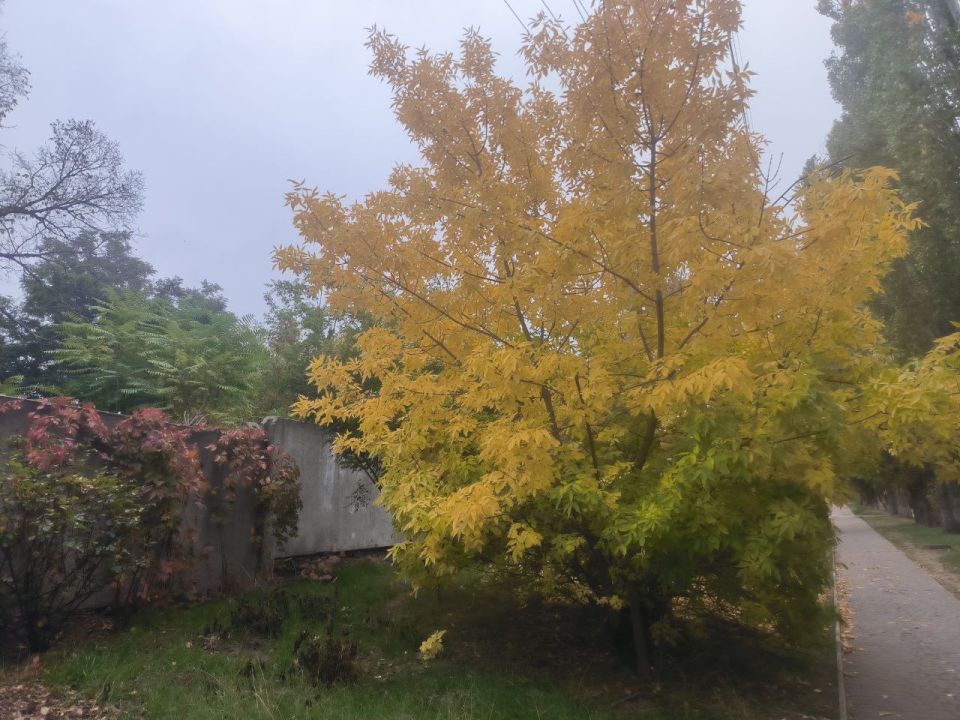 ������ ����, �������� ��������� ����!