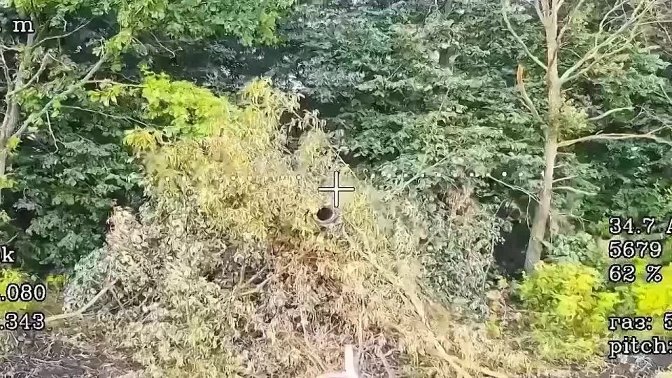 ������� ������ ������ �������� FPV 56 ������������ ��������-���������� ����� ��� �� ����� �� �������� �������� ������