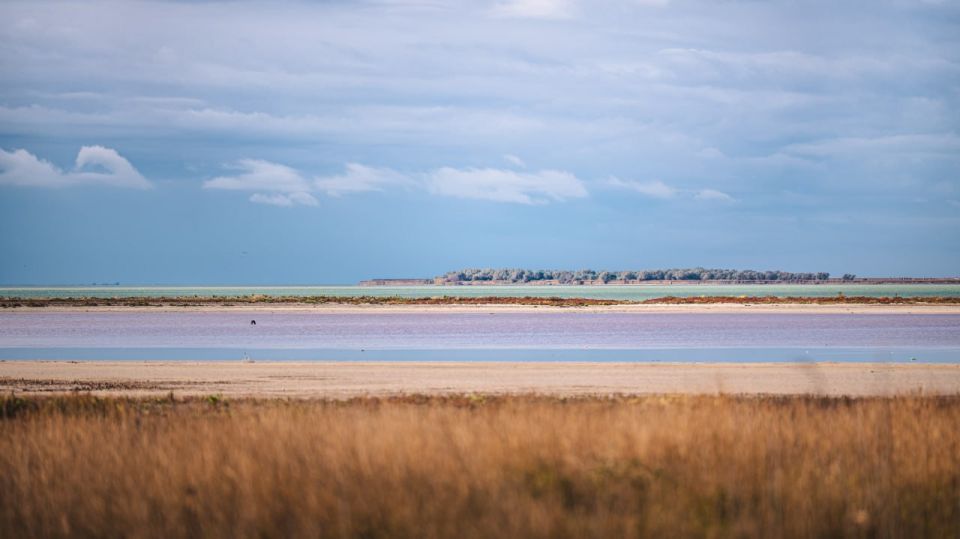 �������� ������: ������, ���������� � ������������ ���������� �������