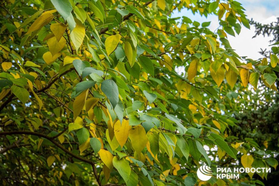 ������ �� ����� ����������� ������