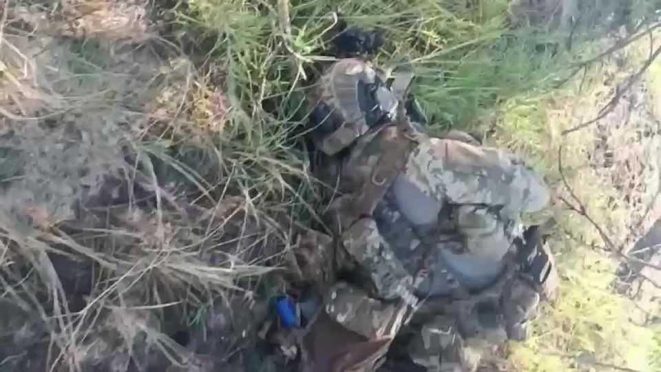 ����� ��������. ��������-����� ���������� �������