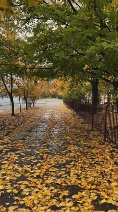 Херсон, 19/10/2025. Ночью прилетало по Таврическому(Северному) и Шуменскому