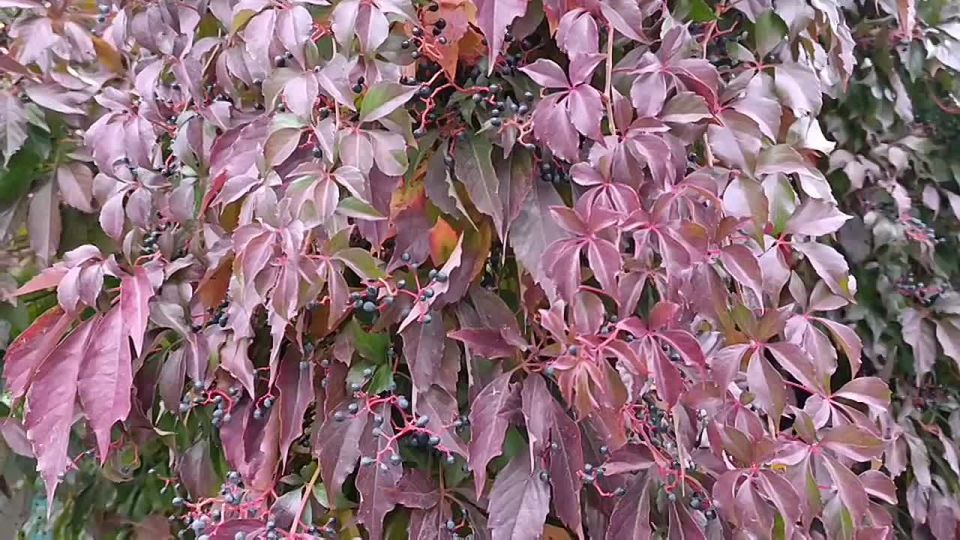 ������ ���������� ����!. �������� ������, �������� ��������, � ������� �� ������ �����, �� � ����� �������� ������� ����� ����� �����, ���� � ����� ������ � ��� ����������� ���������� ���� ����