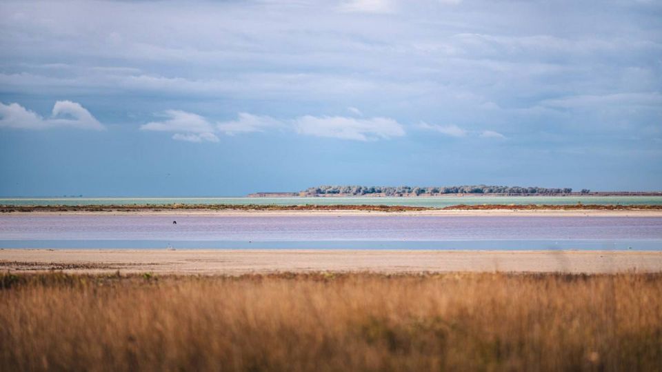 � ���������� �������, ����� ���������� ���� ����� ������ �������