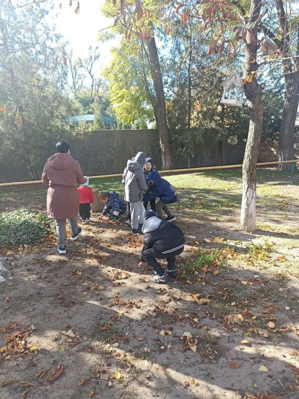 ������� ���������� ����� �3 ���������� ����������� ����������