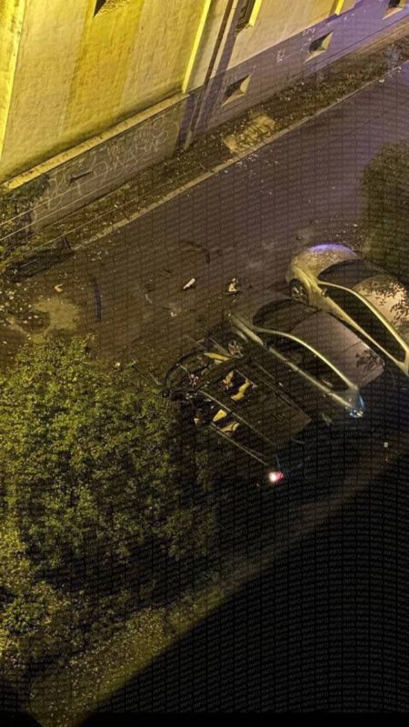 � ����� ����� ��������� �������� ����������, ����� ������� �������