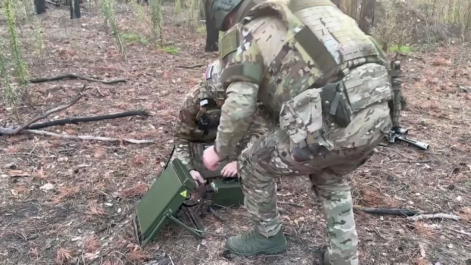 �������� ������: �������� ���: ����� �����, ������� ������ ����������