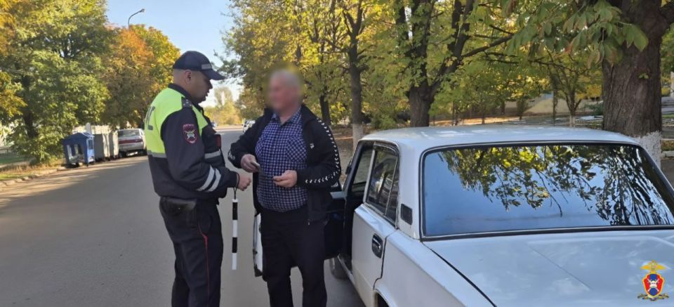 Госавтоинспекторы пресекли девять нарушений ПДД в ходе рейда в Чаплинском округе