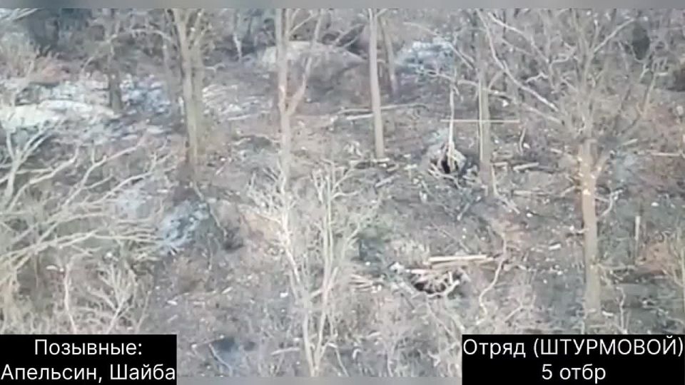 ���������� 5 ��������� ����������� �������� ������� �� ������� ���������� "�������" � ������� � ��������� ��������� ������