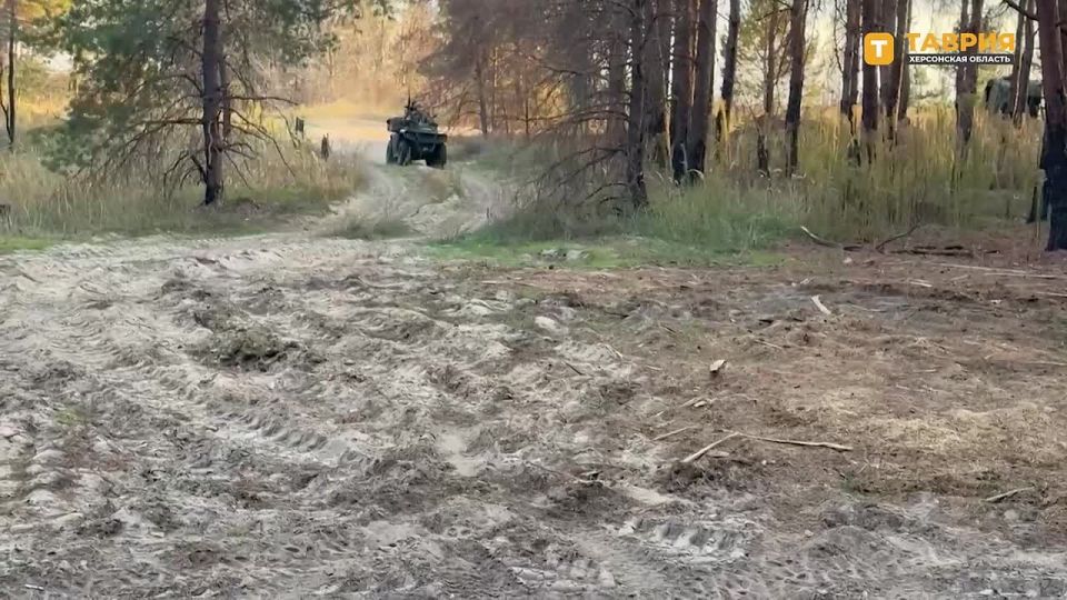 ����� ������ � ��������: �������� ��������� ��� ������ ������� ������������� ����� ���������� �������� ��������