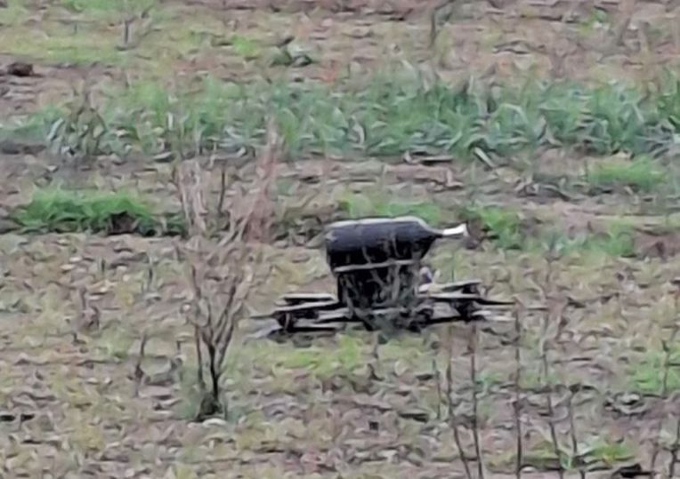 ���� ��� � ������������� ��������� � ���� �������� �� ���� �����������