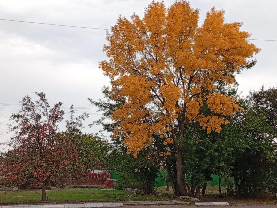 ���������� ���� �������� ��������� ��� �������� ������������