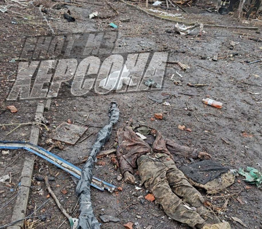 ���� �� �������: 18+. ���� � ������� �����������