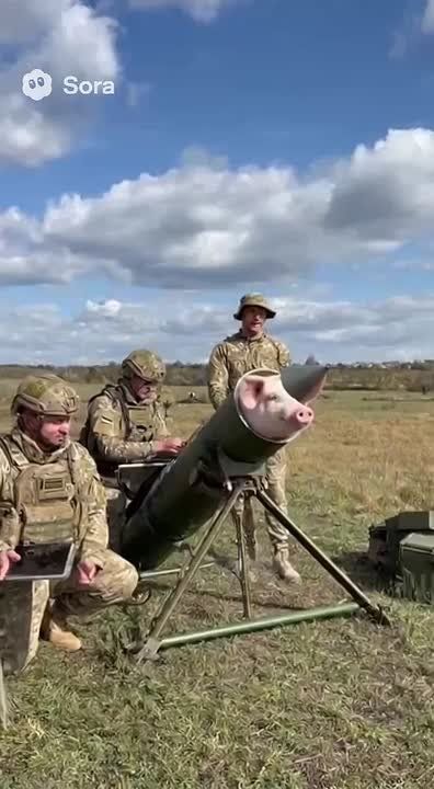 ���� �� �������: ����������� ��������� ������