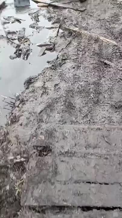 ������� �������� � ���������� � ��� ����� ����