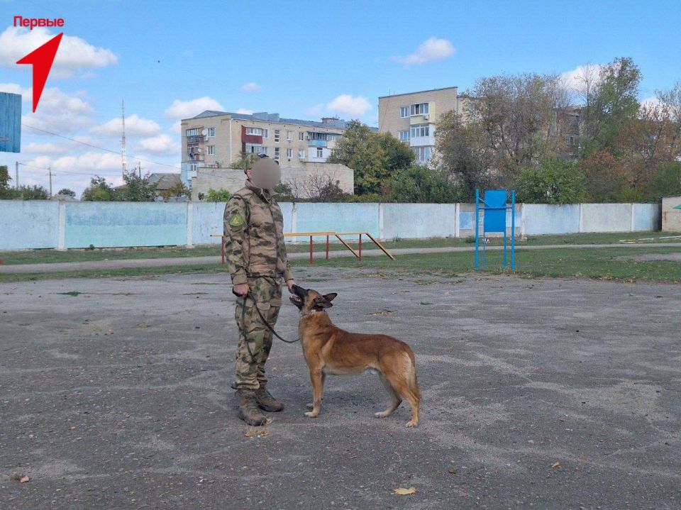 Первые Чаплинской школы познакомились с профессией кинолога
