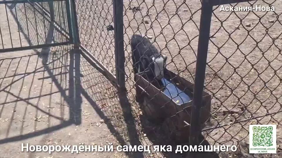 ������� ������ � �����: � ����������� ����������� ��������-���� ��������� ������������ ����������: � ���� �������� ����, ������� ���������� � ����������� ������� �����, ������� �������������� �����!