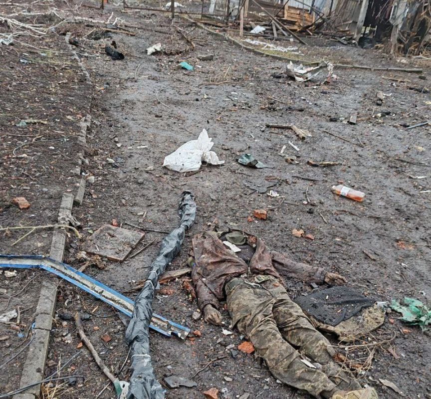 ��� 200. ��������-����� ���������� �������