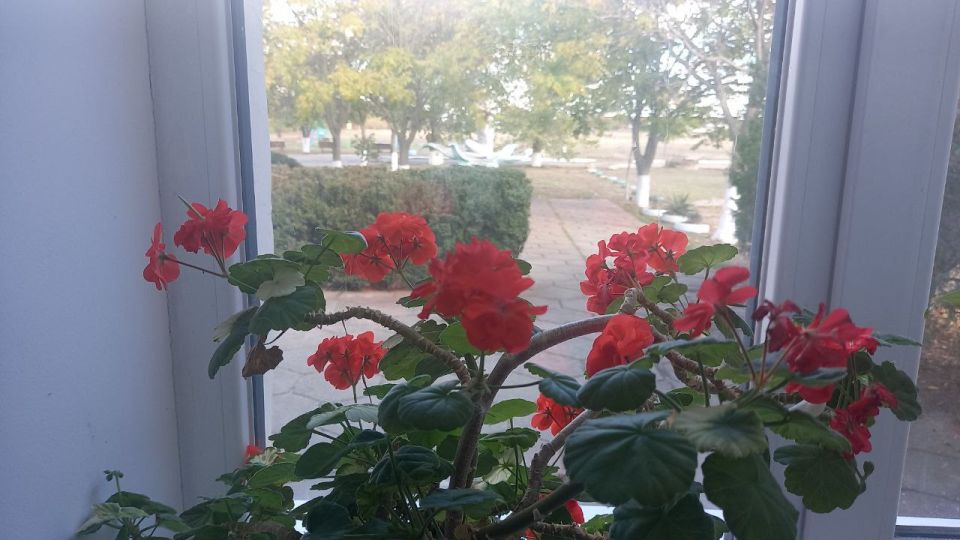 � �������������� ���������� ������ ��������� ��������� ������ � ������ ����� ������, � � ������� ���� �������