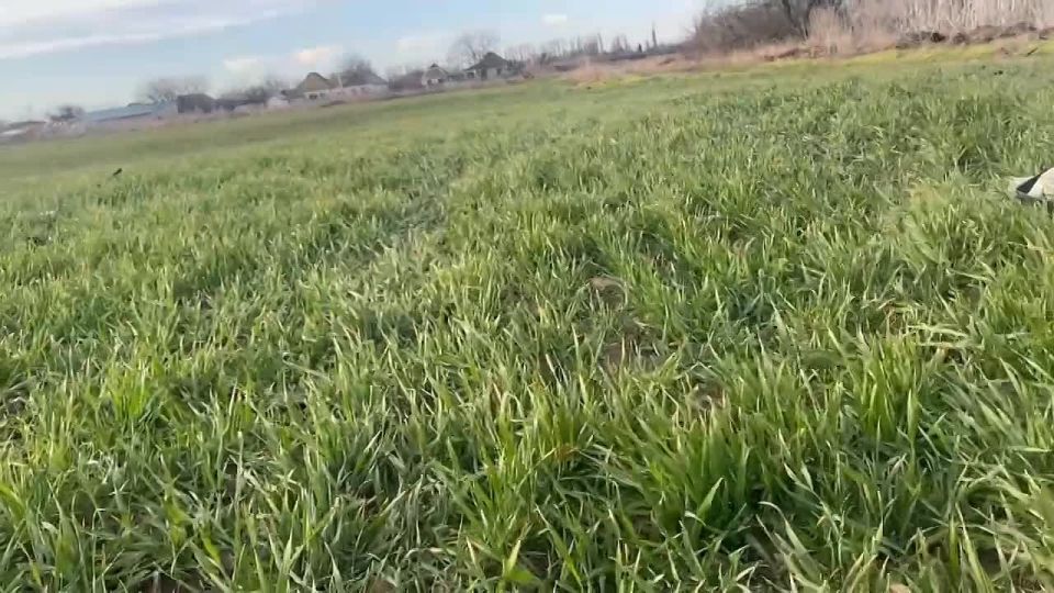 ���������� �������� ������ ����� �����-��������� � ����� ������