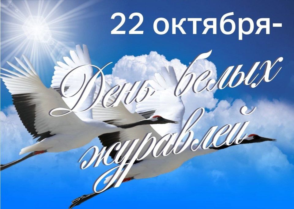 ������� ���������: �������, 22 �������, �� �������� ���� ����� ��������, ����������� ������ ������, ����� ����� ���������� ������ ����� �� ����� ��������