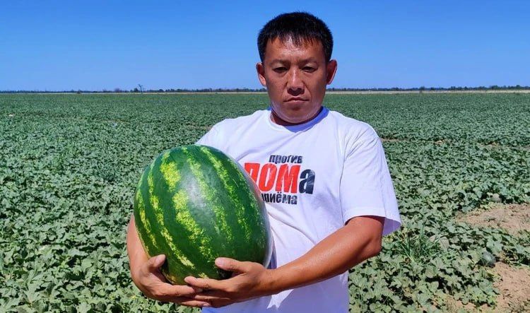 �������� �� ���������� ���� ���������� ����� 2025�