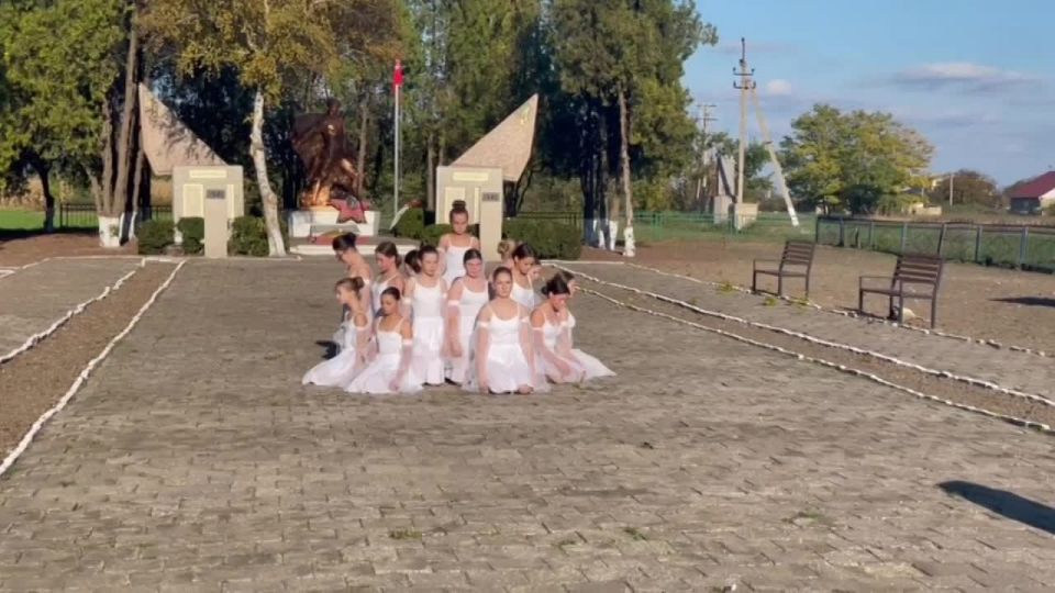 Всероссийская акция памяти павших воинов России «Дни белых журавлей» состоялась в Алешкинском округе