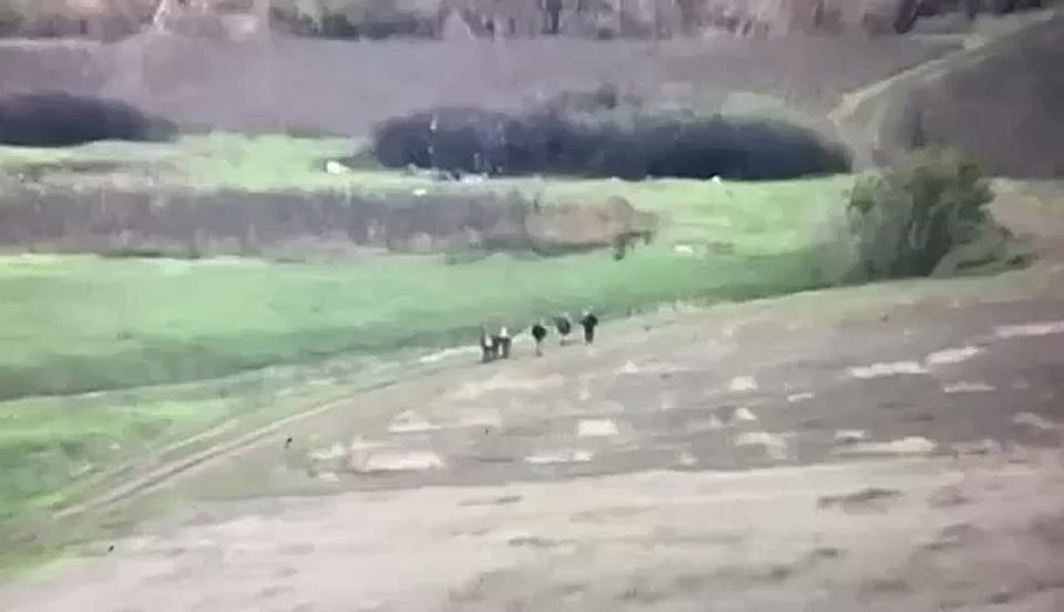 ������ ��������� ������ ����������� ���,������, ��� ��������� ������