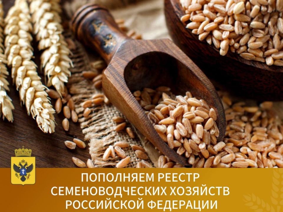     1  2025   815  , 8             2025 