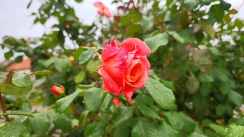 ������� ������ �������� - ����� �������, ��� ����� ������ ��� ��������, ����� ������������ ����