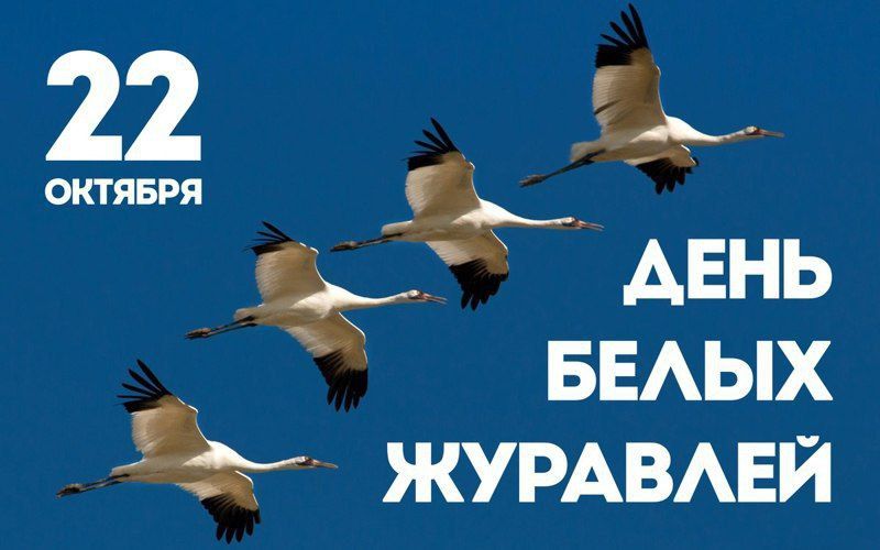 �������, 22 �������, �� ���� ���� ���������� ������� �������� - ���� ����� ��������