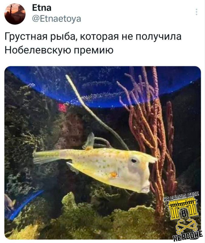 ����� ����� ��� �� ����������, ������, ��� ��� ����� ��� ����������� ������ ���� � Financial Times